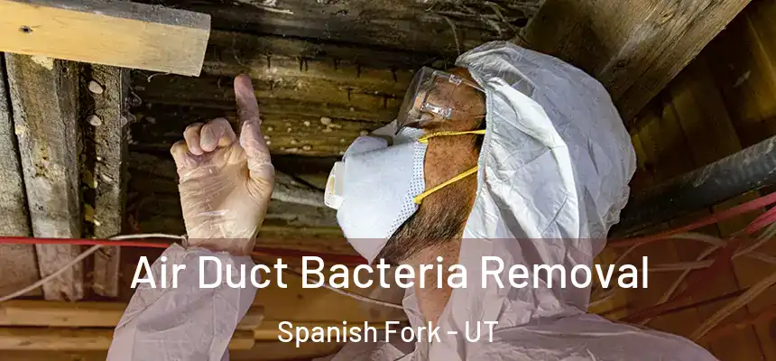  Air Duct Bacteria Removal Spanish Fork - UT