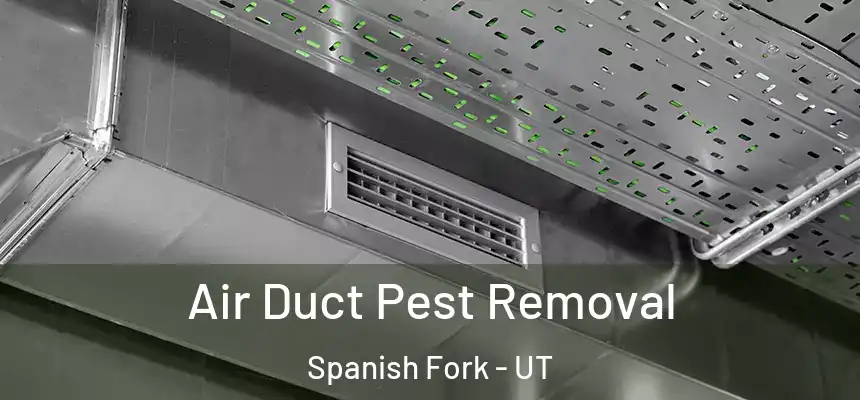  Air Duct Pest Removal Spanish Fork - UT