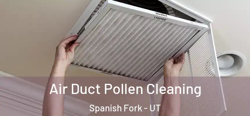 Air Duct Pollen Cleaning Spanish Fork - UT