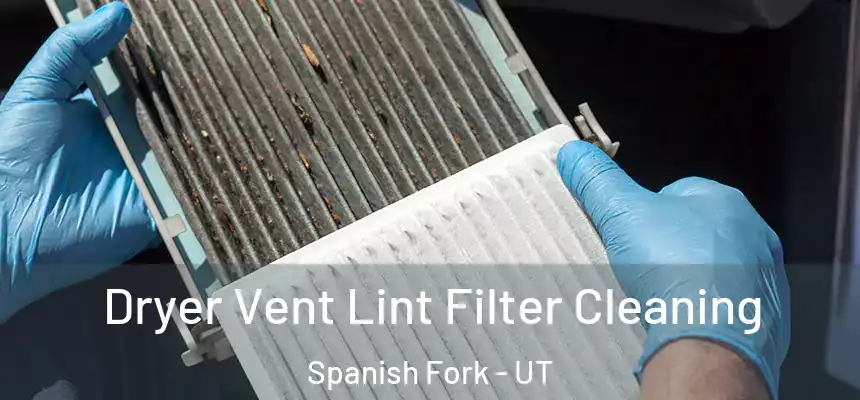 Dryer Vent Lint Filter Cleaning Spanish Fork - UT