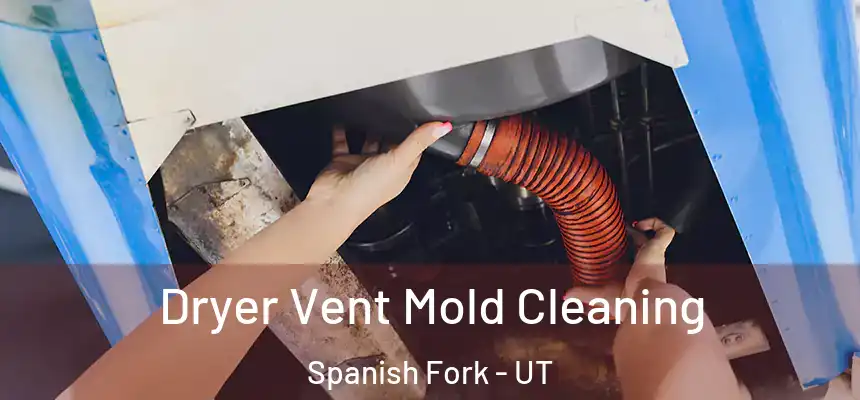 Dryer Vent Mold Cleaning Spanish Fork - UT