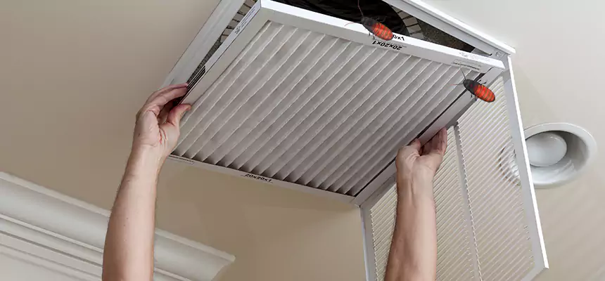 Preventive Cockroach-Proofing for Ducts in Spanish Fork