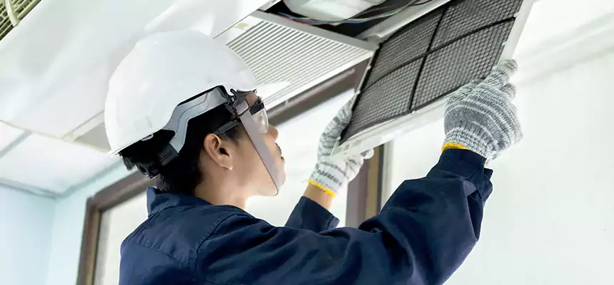 Our Mold & Mildew Removal from Air Ducts Services in Spanish Fork, UT