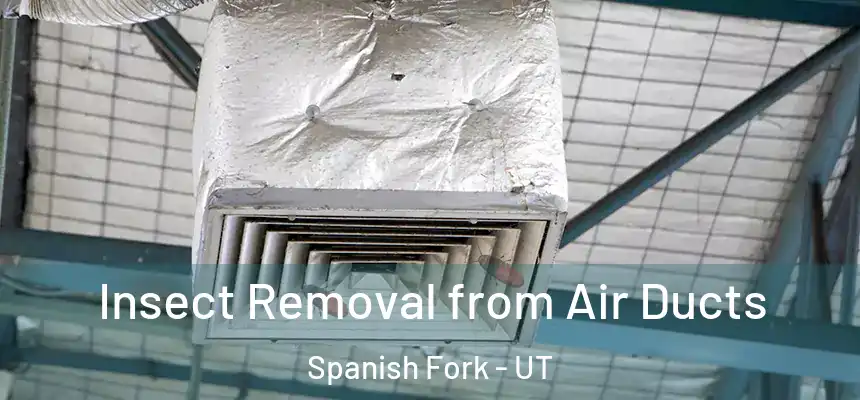  Insect Removal from Air Ducts Spanish Fork - UT