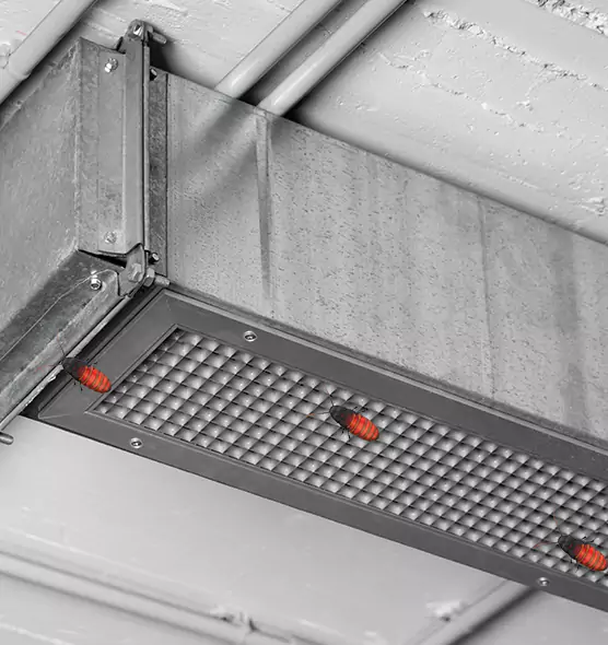About Air Duct Cockroach Removal in Spanish Fork, UT