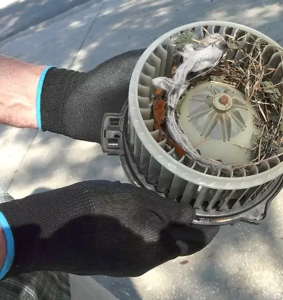 About Air Duct Rat Removal in Spanish Fork, UT