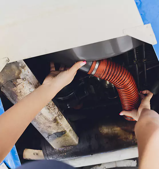 About Air Duct Virus Disinfection in Spanish Fork, UT