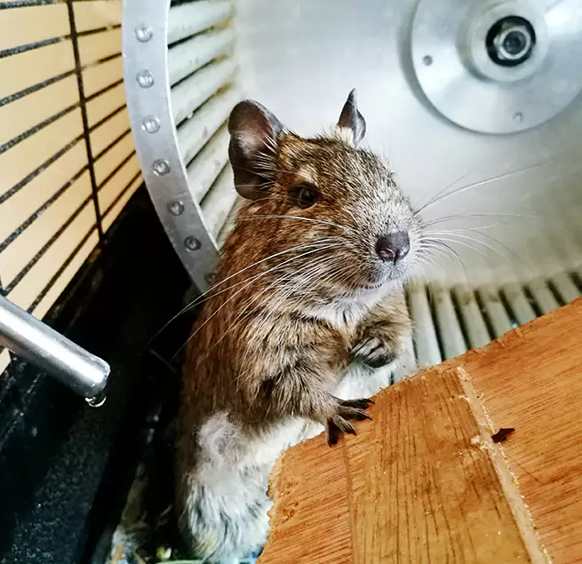 Why Homeowners & Businesses Trust Us Spanish Fork, UT