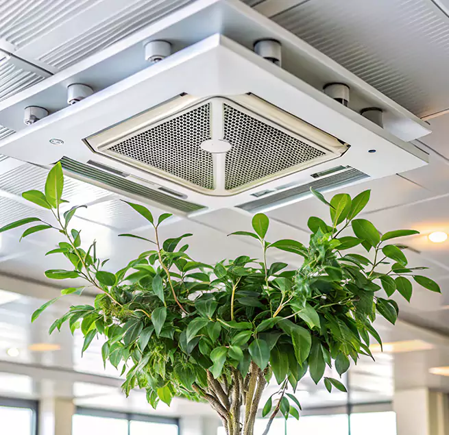 Why Homeowners & Businesses Trust Us in Spanish Fork, UT?